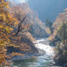 紅葉の清流