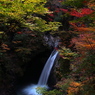 錦秋の秘瀑（縦）