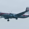 【入間航空祭2013】まだまだ現役