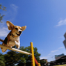 Jump
