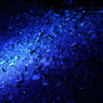 Blue Fallen Leaves