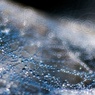 　SPIDER'S JEWELRY 3