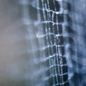 　SPIDER'S JEWELRY 4