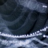 　SPIDER'S JEWELRY 6