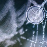 　SPIDER'S JEWELRY 10