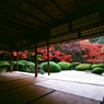 去年の京紅葉４