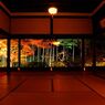 去年の京紅葉６