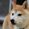 お外がいいね＾＾