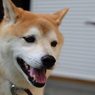 今日の笑顔