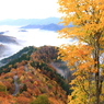 紅葉と雲海