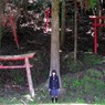 乱立