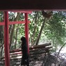 擦れ違ひ
