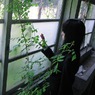 水槽