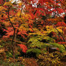 松雲山荘の紅葉