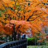 城峯公園