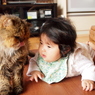100歳猫と0歳娘
