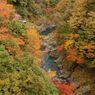 鳩の巣渓谷の紅葉_002