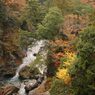 鳩の巣渓谷の紅葉_006