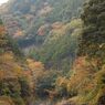 鳩の巣渓谷の紅葉_012