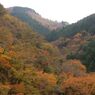鳩の巣渓谷の紅葉_016