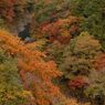 鳩の巣渓谷の紅葉_018