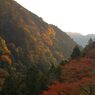 鳩の巣渓谷の紅葉_022