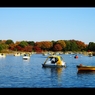 昭和記念公園1