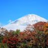 晩秋晴れ