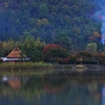 早朝の池畔