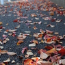 桜の木の下は・・・