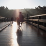 beautiful japan1