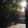 beautiful japan8