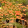永源寺