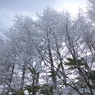 美ヶ原～雪景色01～