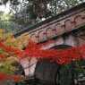 南禅寺　もみじ