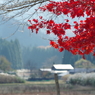 山里の出会い　1