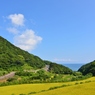 西の大地