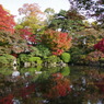 池泉回遊式庭園・もみじ公園