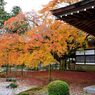 雷山千如寺大悲王院＃15