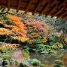 雷山千如寺大悲王院＃8