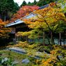 雷山千如寺大悲王院＃5