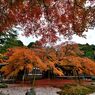 雷山千如寺大悲王院＃4