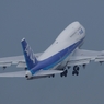 LAST JUMBO