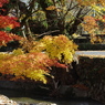 山里の出会い　２
