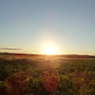 移動中　北海道