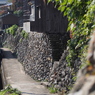 高見島　４