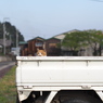 軽トラのねこ