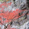 紅葉（大荒の滝）