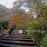 秋彩番外：帰ろ