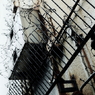 #04 Barbed wire
